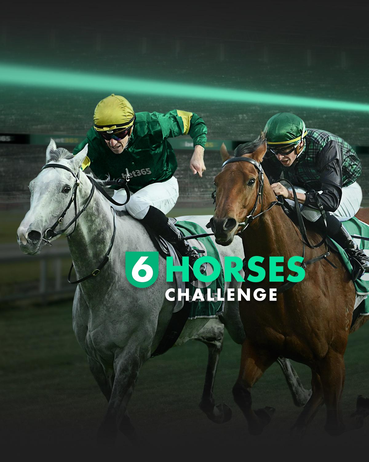 6 Horses Challenge Imagery