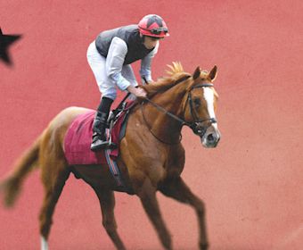 Kyprios Horse Racing